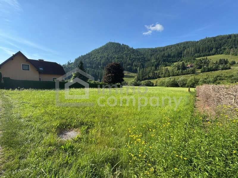 Baugrundstück in Sankt Katharein an der Laming - Bild 3