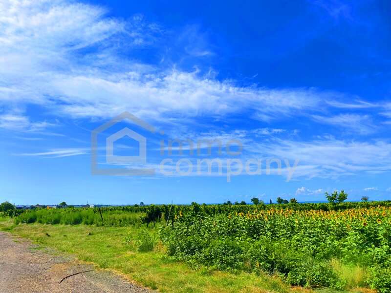 Baugrundstück in Winden am See - Bild 3 Baugrundstück in Winden am See - Bild 3