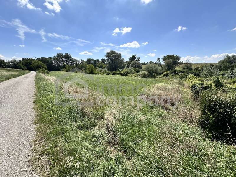Grundstück in Prellenkirchen - Bild 4
