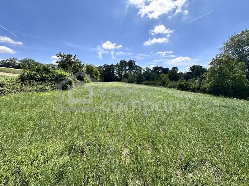 Grundstück in Prellenkirchen - Bild 5