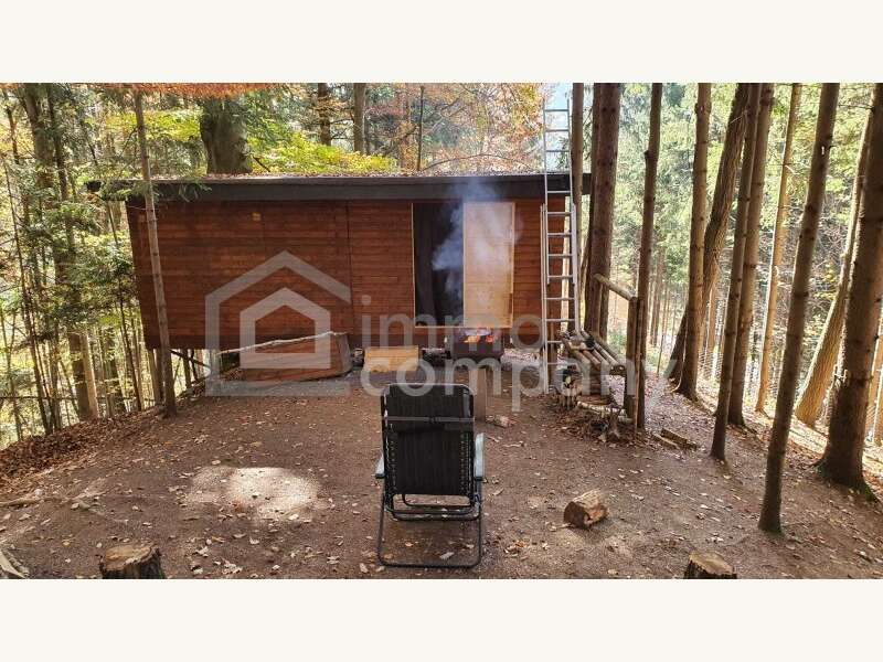 Baugrundstück in Pinggau - Bild 2