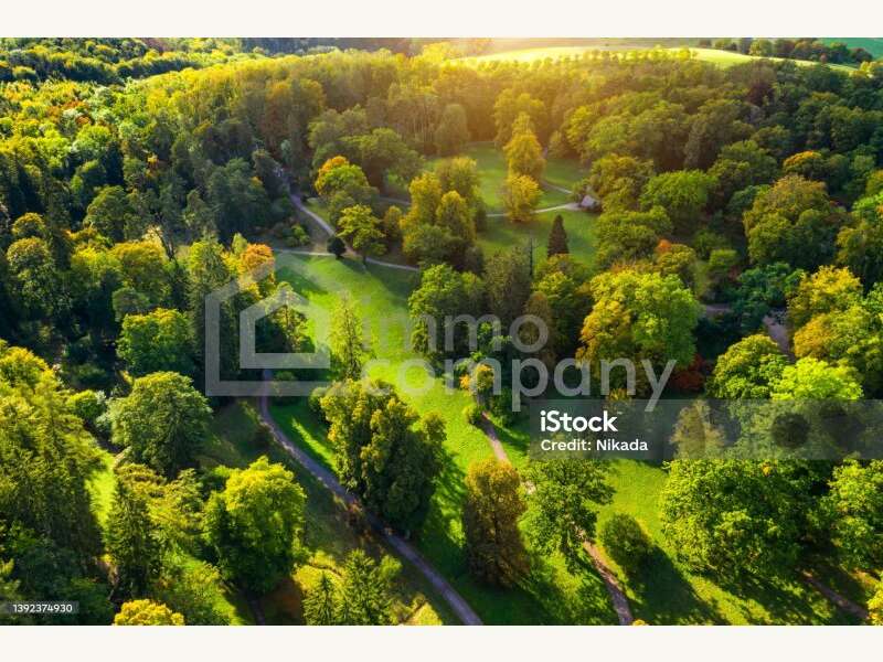 Baugrundstück in Pinggau - Bild 3