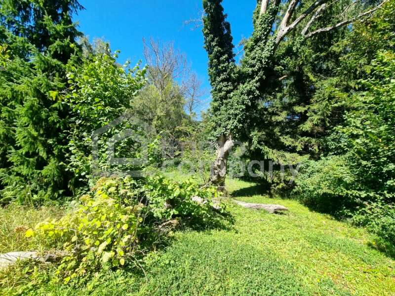 Grundstück in Tullnerbach-Lawies - Bild 2