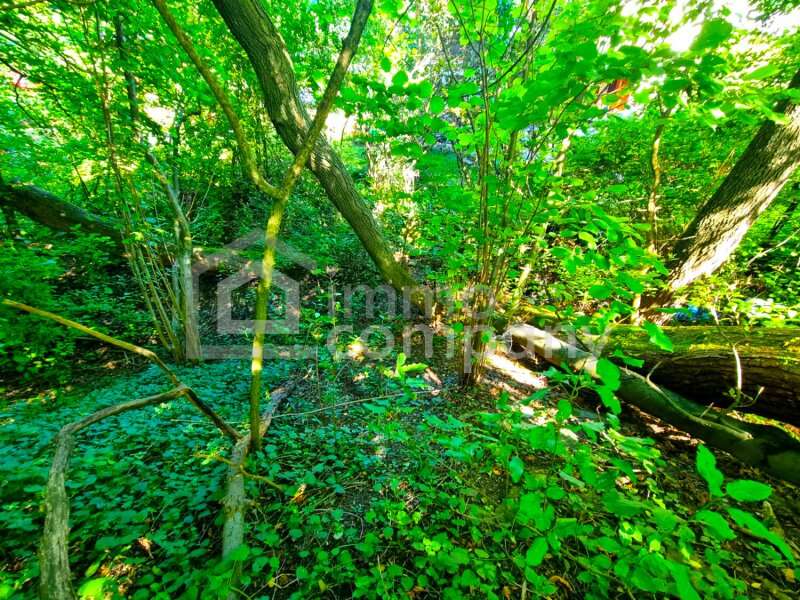 Grundstück in Tullnerbach-Lawies - Bild 3