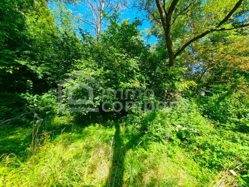 Grundstück in Tullnerbach-Lawies - Bild 4