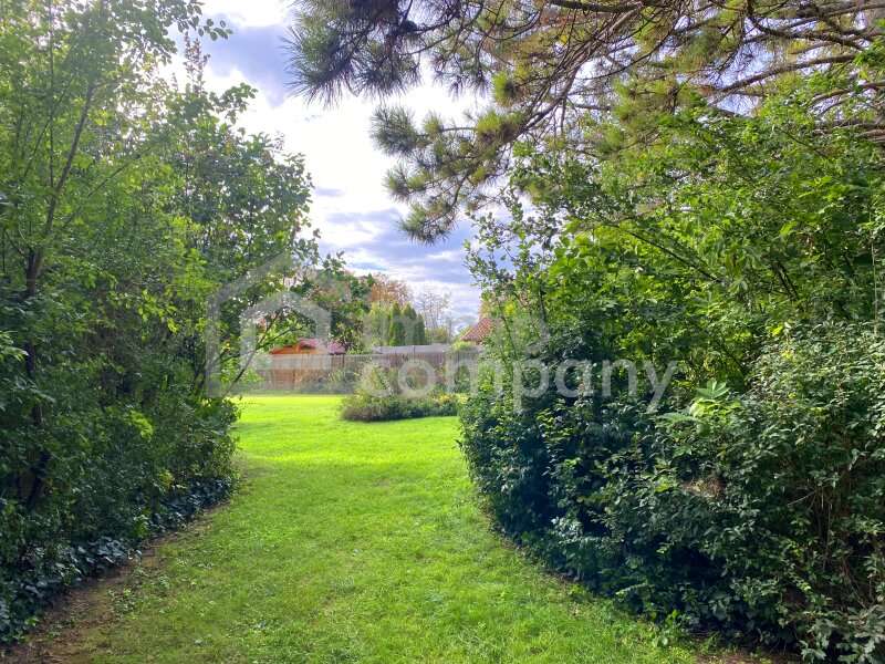 Baugrundstück in Schwadorf - Bild 2