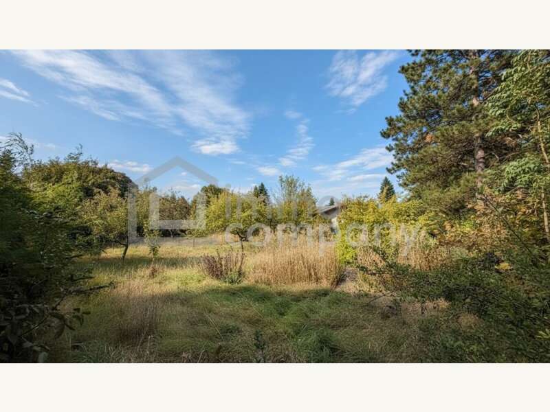 Baugrundstück in Bad Fischau-Brunn - Bild 3