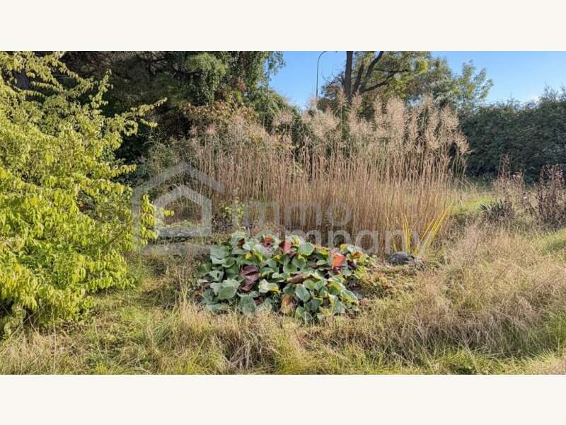 Baugrundstück in Bad Fischau-Brunn - Bild 4