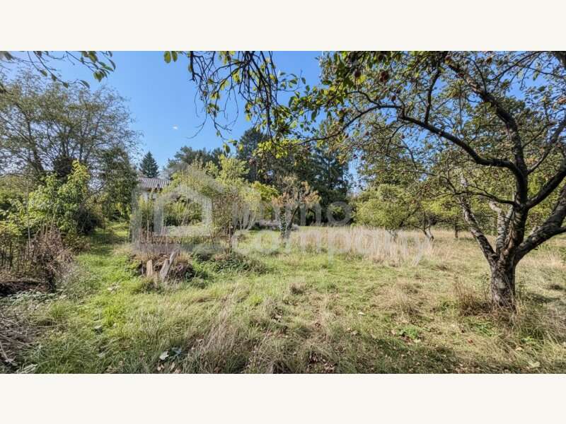 Baugrundstück in Bad Fischau-Brunn - Bild 5