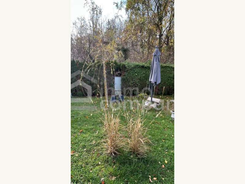 Grundstück in Lassee - Bild 7