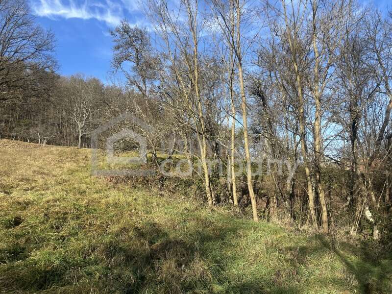 Grundstück in Minihof-Liebau - Bild 3 Grundstück in Minihof-Liebau - Bild 3