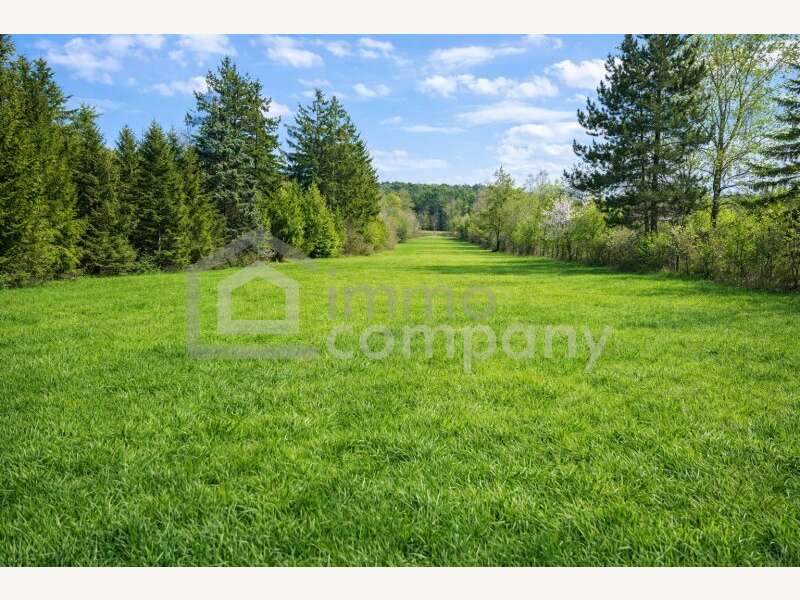 Bodenaufnahme mit Sicht aufs Leithagebirge