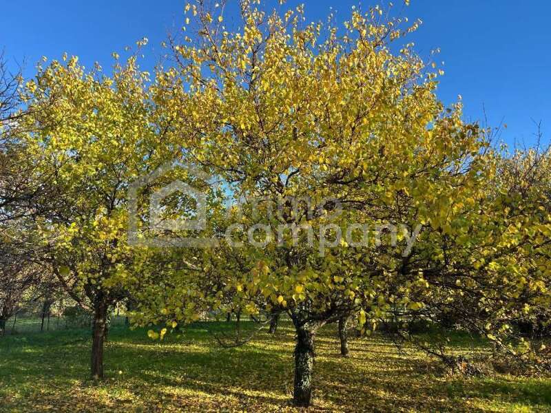 Grundstück in Hornstein - Bild 2