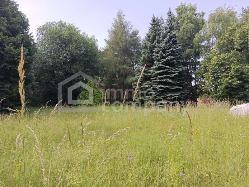 Baugrundstück in Hollenthon - Bild 3