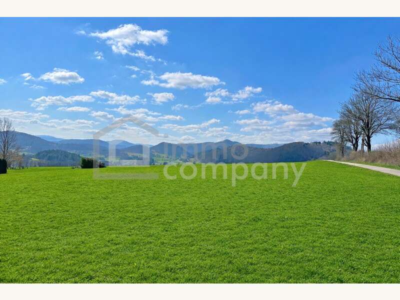 Baugrundstück in Nöstach - Bild 2