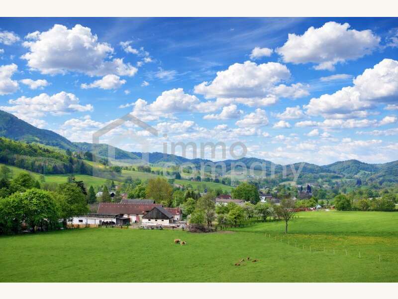 Baugrundstück in Nöstach - Bild 3