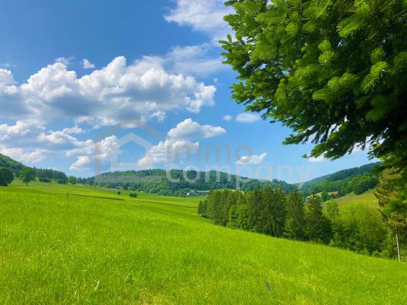 Baugrundstück in Nöstach - Bild 4