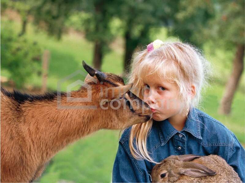 Baugrundstück in Nöstach - Bild 5
