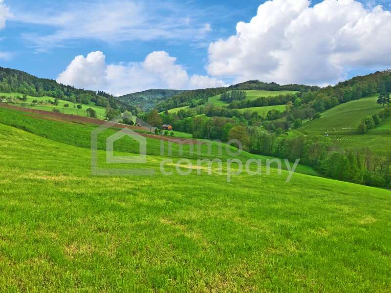 Baugrundstück in Nöstach - Bild 8