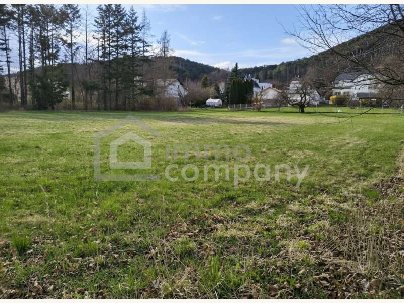 Baugrundstück in Winzendorf - Bild 3