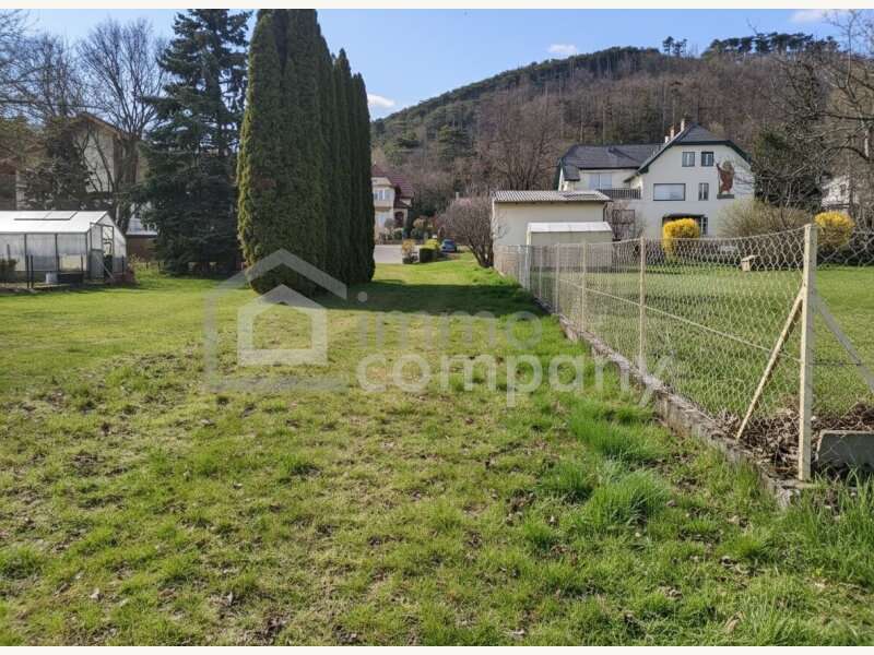 Baugrundstück in Winzendorf - Bild 4