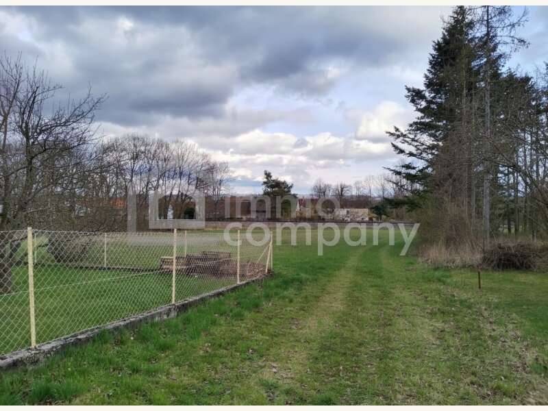 Baugrundstück in Winzendorf - Bild 5