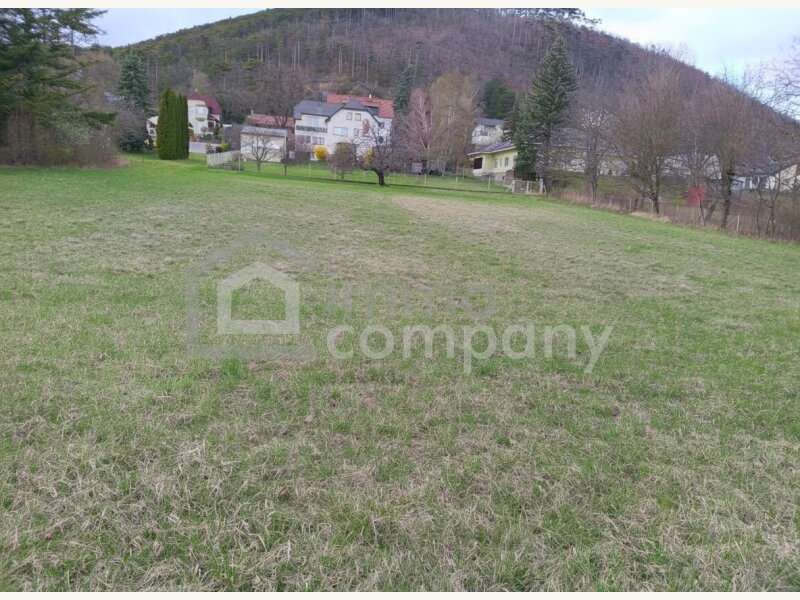 Baugrundstück in Winzendorf - Bild 6