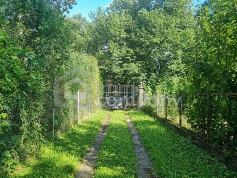 Baugrundstück in Laab im Walde - Bild 8