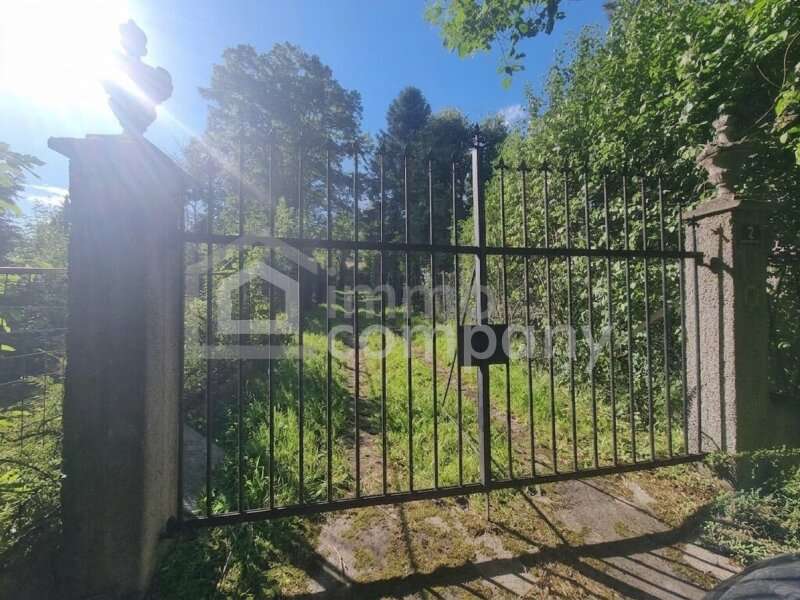 Baugrundstück in Laab im Walde - Bild 9