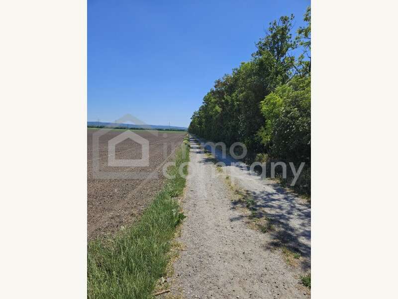 Landwirtschaftsgrund in Margarethen am Moos - Bild 2 Landwirtschaftsgrund in Margarethen am Moos - Bild 2