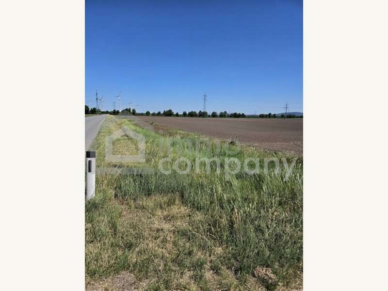 Landwirtschaftsgrund in Margarethen am Moos - Bild 3 Landwirtschaftsgrund in Margarethen am Moos - Bild 3