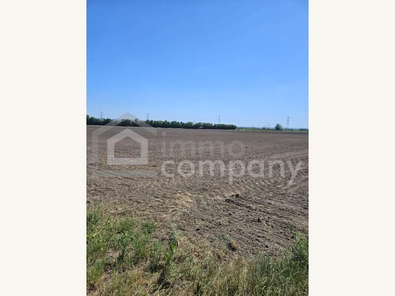 Landwirtschaftsgrund in Margarethen am Moos - Bild 2