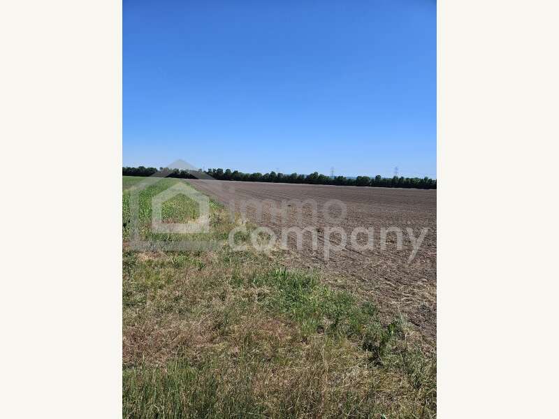 Landwirtschaftsgrund in Margarethen am Moos - Bild 3