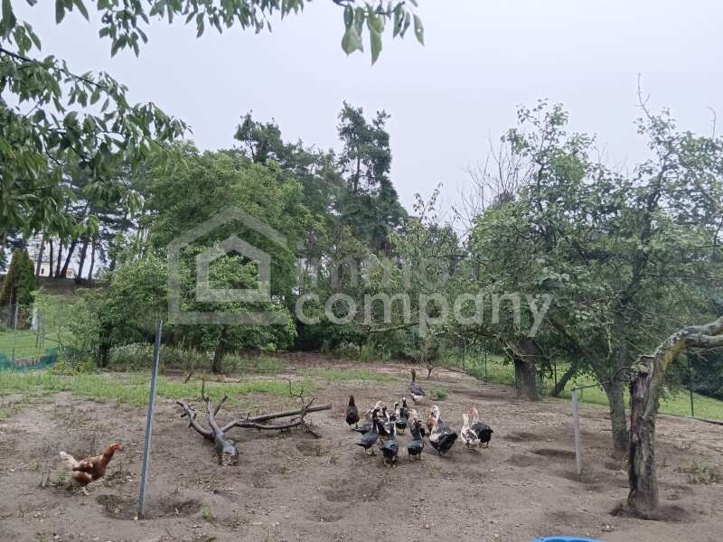 Garten mit Kleintierhaltung