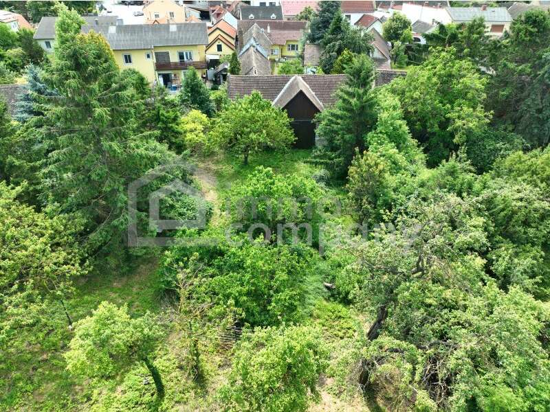 Einfamilienhaus in Mannersdorf am Leithagebirge - Bild 15