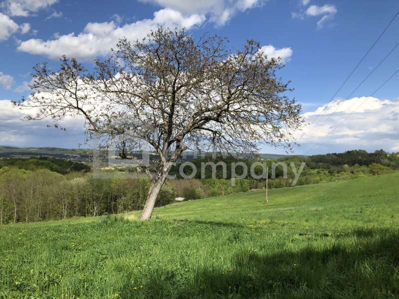 Einfamilienhaus in Weichselbaum - Bild 2