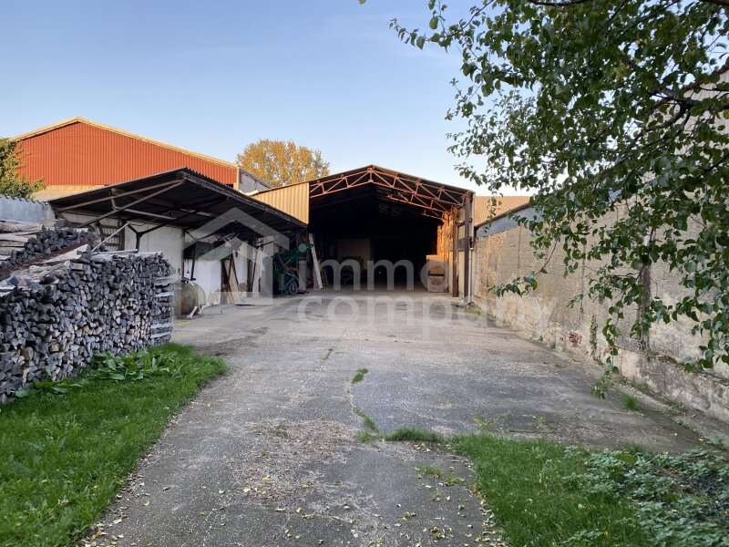 Bauernhaus Nickelsdorf: Der Hof mit der Halle bietet einige Möglichkeiten Der Hof mit der Halle bietet einige Möglichkeiten