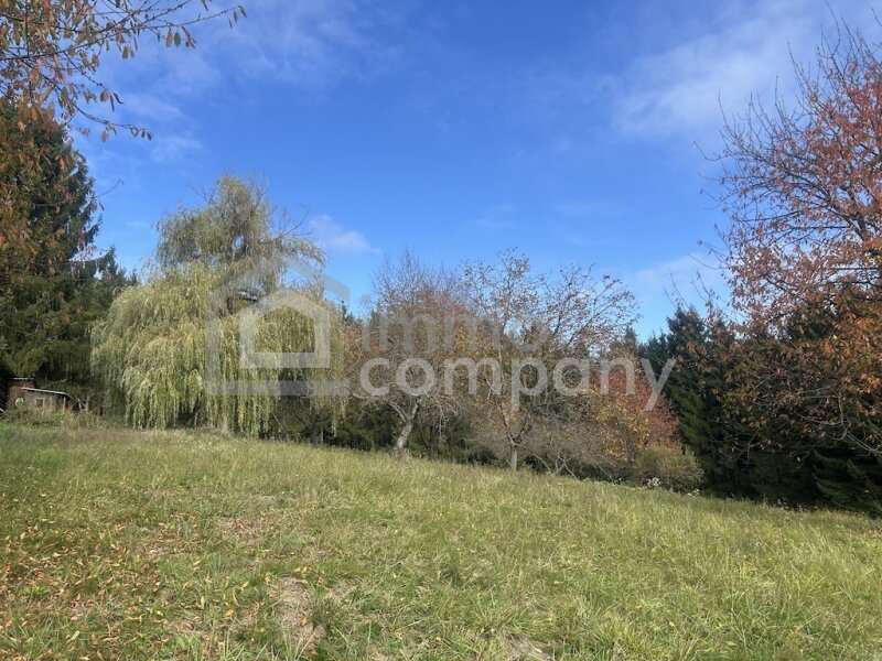 Bauernhaus in Poppendorf im Burgenland - Bild 7 Bauernhaus in Poppendorf im Burgenland - Bild 7