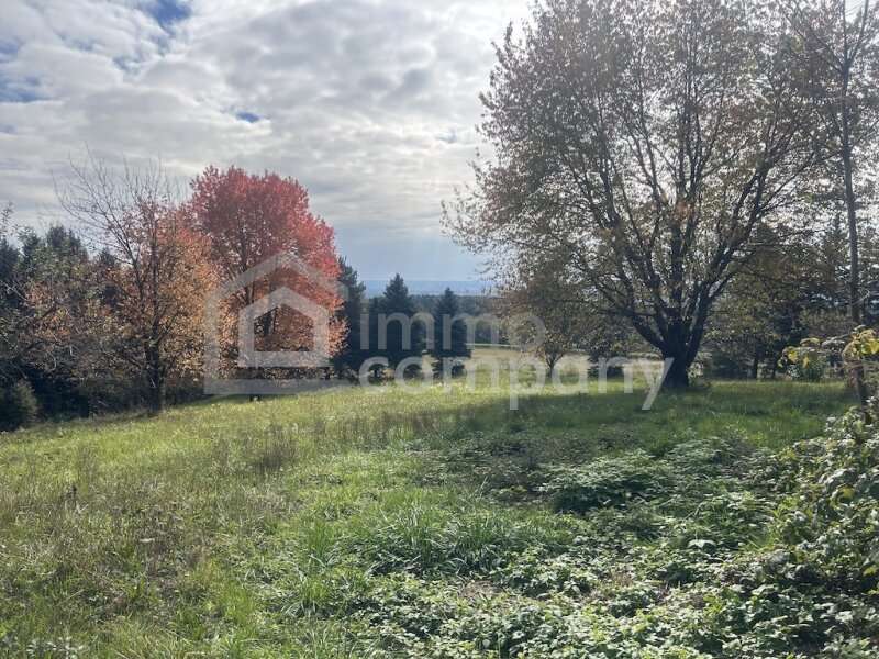 Bauernhaus in Poppendorf im Burgenland - Bild 8 Bauernhaus in Poppendorf im Burgenland - Bild 8