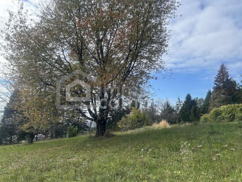 Bauernhaus in Poppendorf im Burgenland - Bild 9 Bauernhaus in Poppendorf im Burgenland - Bild 9