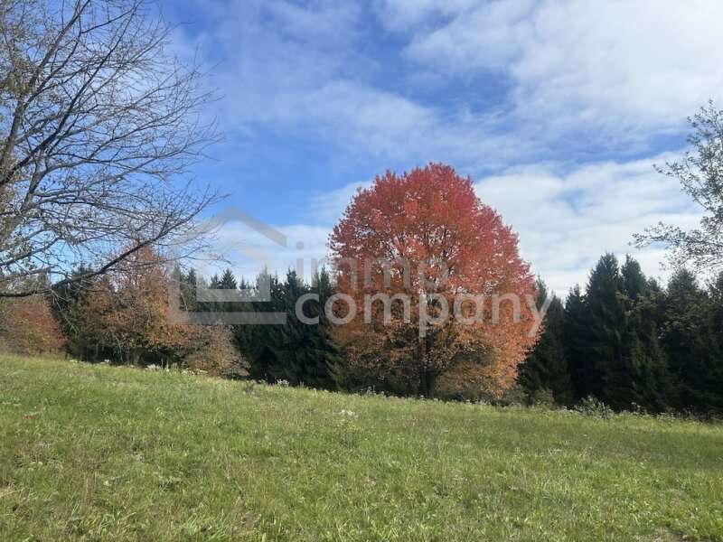 Bauernhaus in Poppendorf im Burgenland - Bild 11 Bauernhaus in Poppendorf im Burgenland - Bild 11