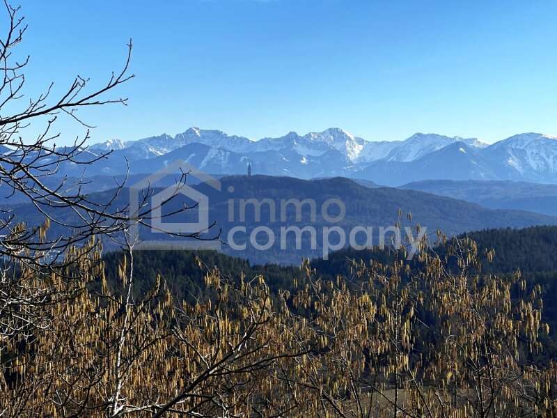 Einfamilienhaus in Obergöriach - Bild 3
