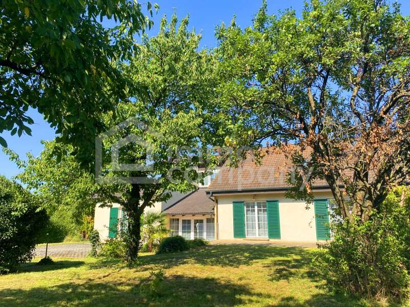 Einfamilienhaus in Breitenbrunn am Neusiedler See - Bild 3