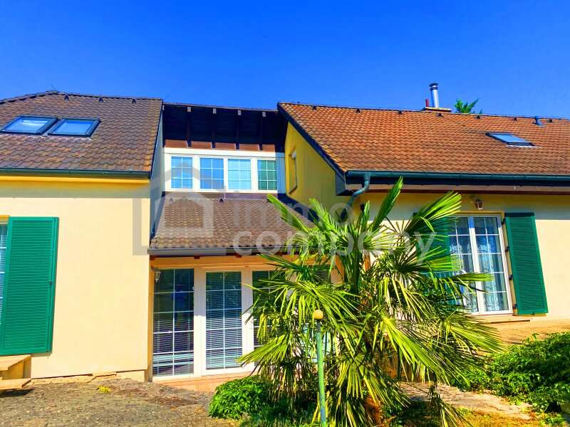 Einfamilienhaus in Breitenbrunn am Neusiedler See - Bild 5