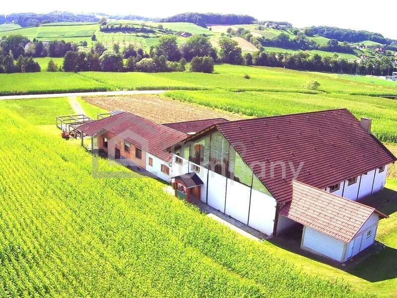 Haus in Gnas - Bild 4