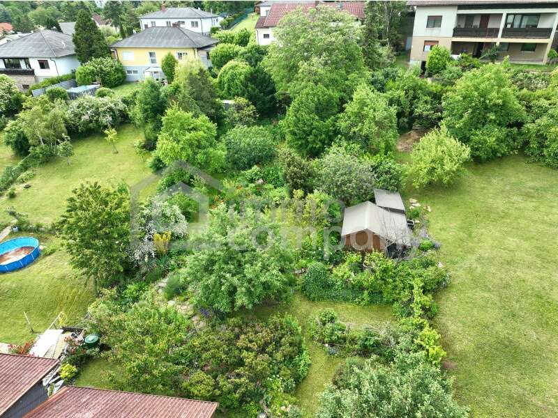 Einfamilienhaus in Sommerein - Bild 4 Einfamilienhaus in Sommerein - Bild 4