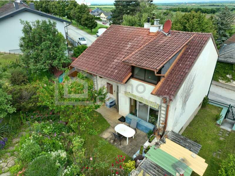 Einfamilienhaus in Sommerein - Bild 5 Einfamilienhaus in Sommerein - Bild 5