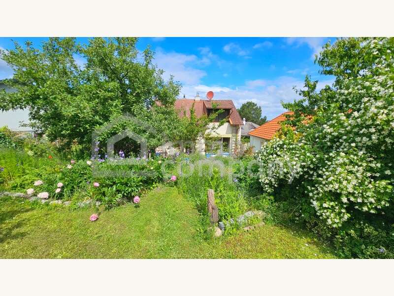 Einfamilienhaus in Sommerein - Bild 15 Einfamilienhaus in Sommerein - Bild 15