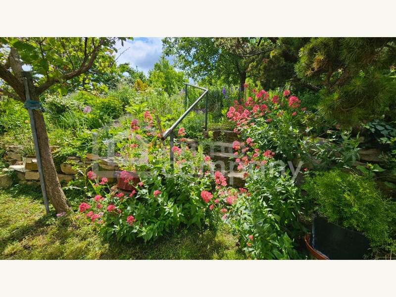 Einfamilienhaus in Sommerein - Bild 17 Einfamilienhaus in Sommerein - Bild 17