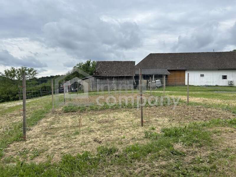 Haus in Sankt Martin an der Raab - Bild 14